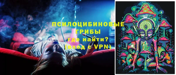 ПСИЛОЦИБИНОВЫЕ ГРИБЫ Белокуриха