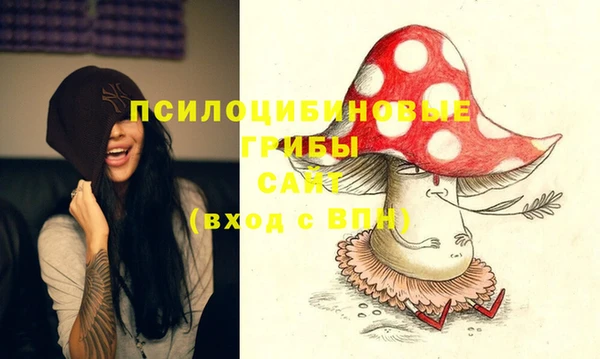 ПСИЛОЦИБИНОВЫЕ ГРИБЫ Белокуриха