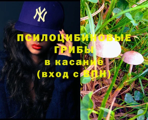 ПСИЛОЦИБИНОВЫЕ ГРИБЫ Белокуриха